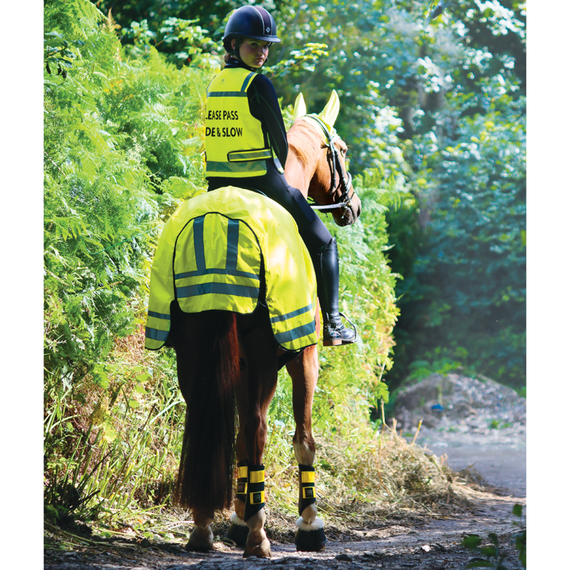 Woof Wear Hi Vis Exercise Sheet - Yellow-2